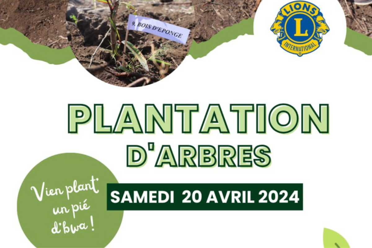 Plantation d’arbres au Grand Stella, samedi 20 avril 2024 à partir de 8h.