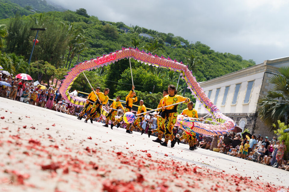 Nouvel an Chinois- la danse du dragon