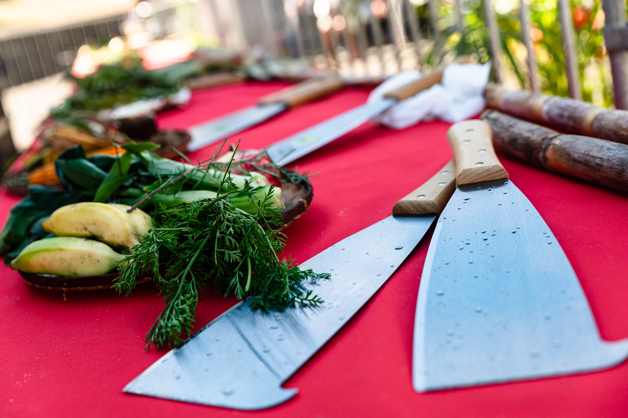 Karfour Agrikol 2026 à Saint-Leu : 3 jours de fête agricole et musicale à Piton Saint-Leu